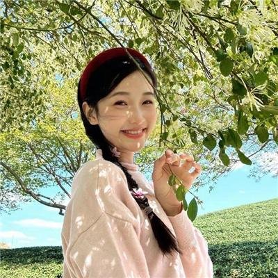 鸽之翼